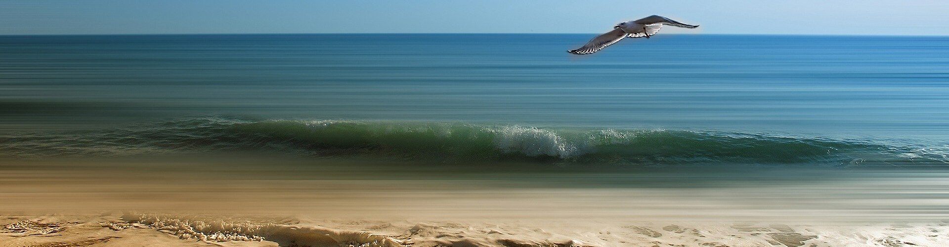 Online Business modular aufbauen -Modul Eins